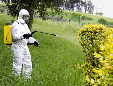 Tratamientos Fitosanitarios